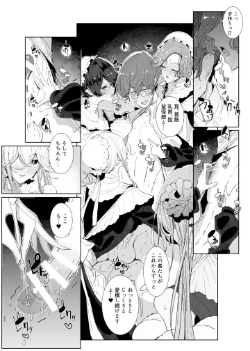 [Tsumetoro] Shinshi Tsuki Maid no Sophie-san 9 Fhentai - Page 25