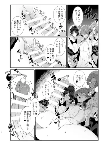 [Tsumetoro] Shinshi Tsuki Maid no Sophie-san 9 Fhentai - Page 27