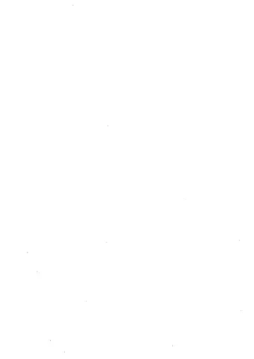 [Sindoll] Usotsuki Mineru-sama Fhentai - Page 10