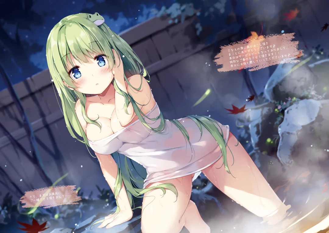 [Miyase Mahiro] SANA-Recollection Fhentai - Page 11