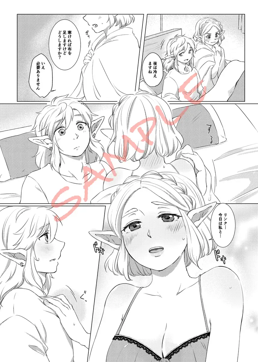 2/ 11 Shinkan `oshiete! Zeruda sensei' sanpuru Fhentai - Page 3