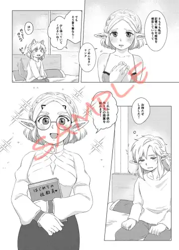 2/ 11 Shinkan `oshiete! Zeruda sensei' sanpuru Fhentai - Page 7