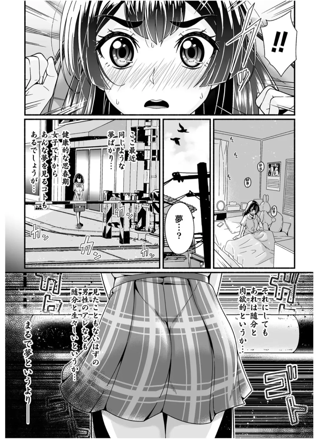 [Tj-type1] Ninmu Shoujo Kenshi no Otsutome Fhentai - Page 3