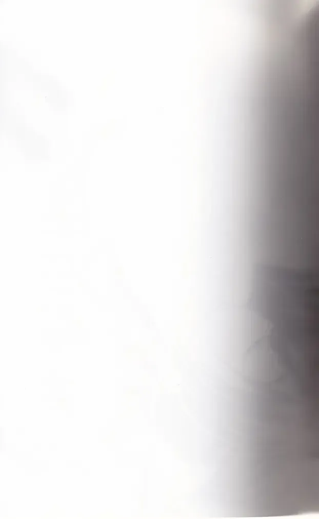 [Takahashi Tetsuya] honotan ll - Max Heart Fhentai - Page 2