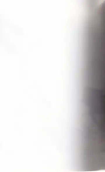 [Takahashi Tetsuya] honotan ll - Max Heart Fhentai - Page 2