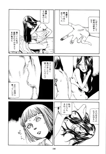 [Kago Shintarou] Fraction Fhentai - Page 196