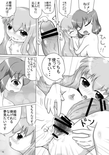 [Katsuki] Bitch no Tsukaima Fhentai - Page 14