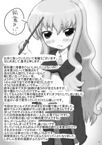 [Katsuki] Bitch no Tsukaima Fhentai - Page 3