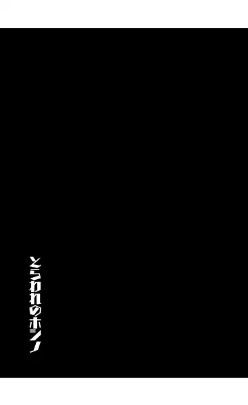 [Kohri Ms] Toraware no  Hoshino Fhentai - Page 4