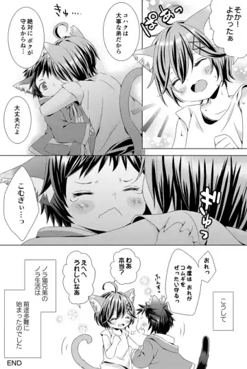 [Rushichi] Rushichiland Tanpenshuu Fhentai - Page 41