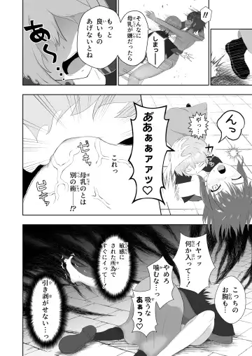 [Munemori Jin] Bounyuu Shuutai ~Soko ni Kishi no Sugata wa Naku~ Fhentai - Page 13
