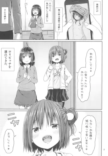[Kagono Tori] Seiso na Imouto no Tomodachi wa Mesugaki deshita Fhentai - Page 3
