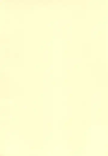 [Aiura Aiu] Chibikko Idol Bride Fhentai - Page 4