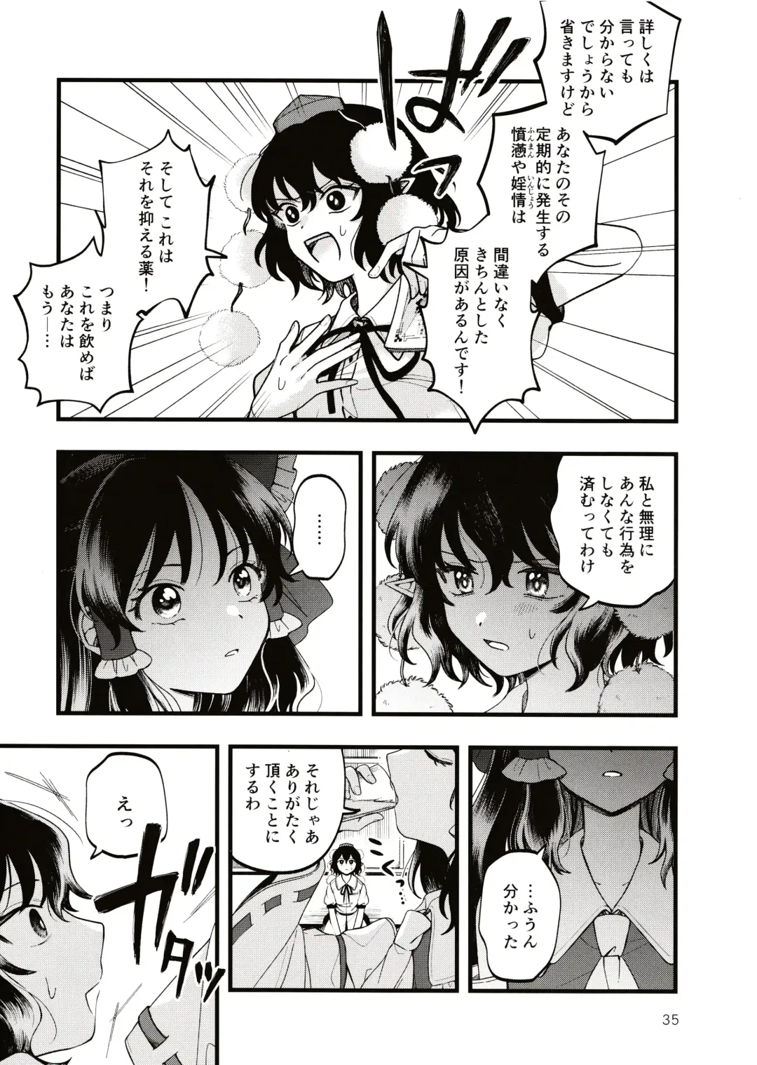 [Seseri] Rubeus no Kankai Fhentai - Page 34