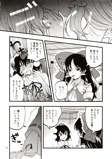 [Seseri] Rubeus no Kankai Fhentai - Page 35