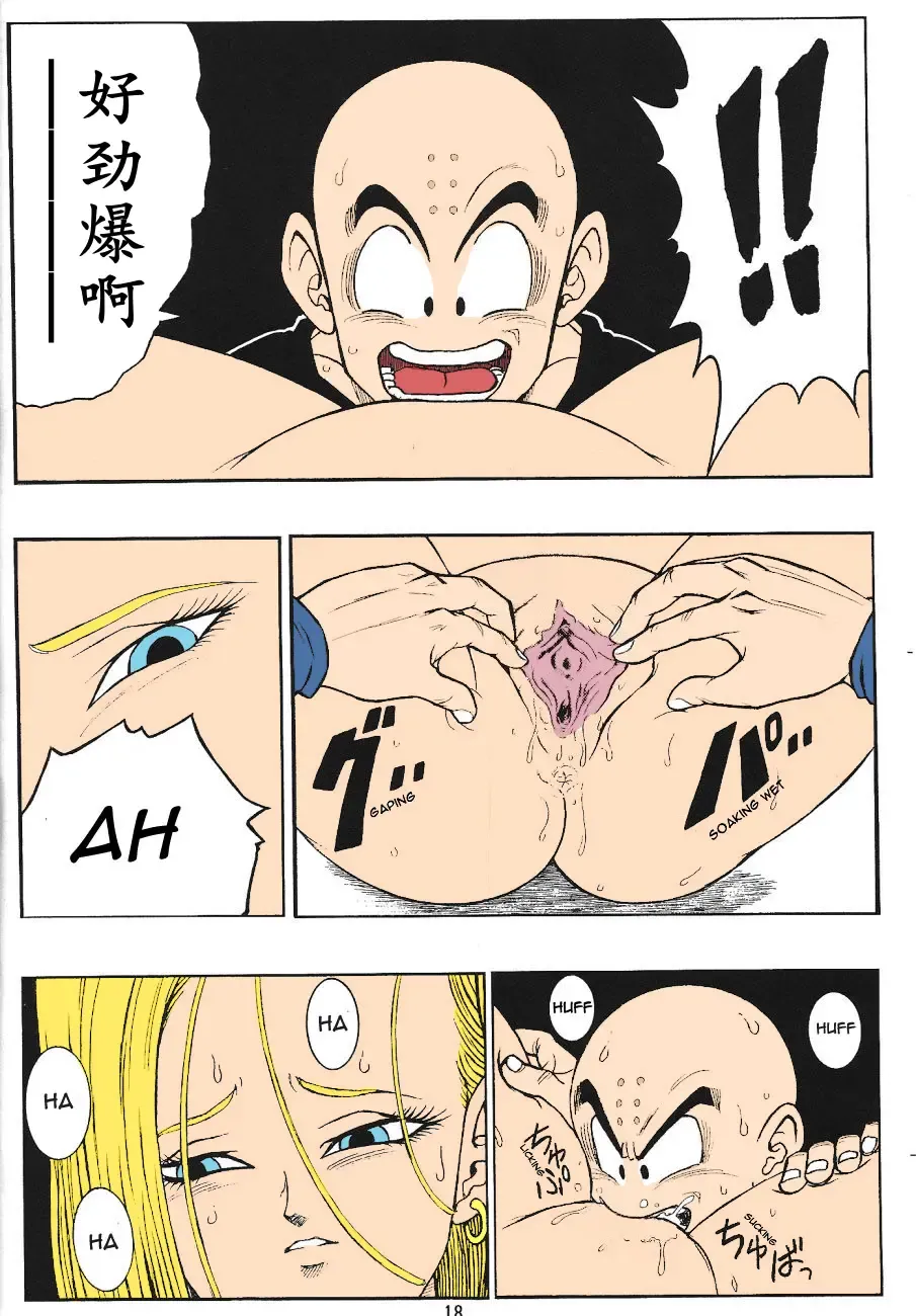 [Garland] DragonBall H Maki San (decensored) Fhentai - Page 16