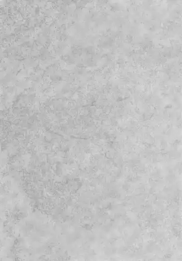 [3e] Little by Little Fhentai - Page 3