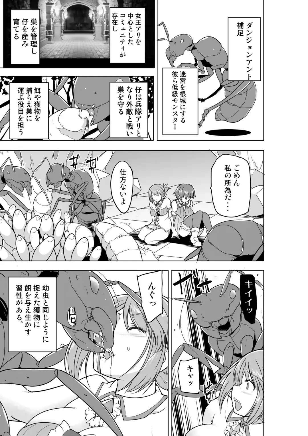 [Chiba Tetsutarou] Dungeon Travelers - Futari no Himegoto  BADend Fhentai - Page 7