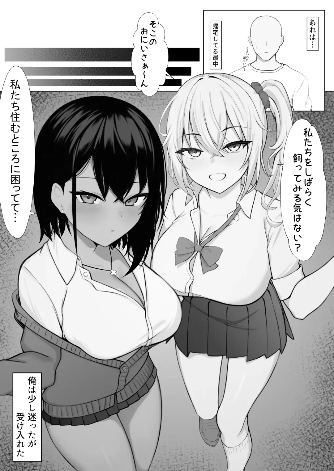 [Nannomaru] Gal to no Kyoudou Seikatsu ~Gal Katte Mimasenka?~ Fhentai - Page 3