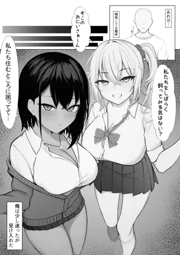[Nannomaru] Gal to no Kyoudou Seikatsu ~Gal Katte Mimasenka?~ Fhentai - Page 3