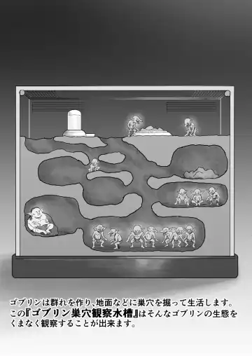 Read [Ruutyan] Goblin no Suana ni Mesu o Irete Kansatsu Shita Kekka ga Yaba Sugita - Fhentai