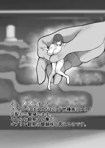 [Ruutyan] Goblin no Suana ni Mesu o Irete Kansatsu Shita Kekka ga Yaba Sugita Fhentai - Page 3