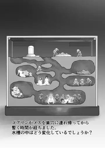 [Ruutyan] Goblin no Suana ni Mesu o Irete Kansatsu Shita Kekka ga Yaba Sugita Fhentai - Page 6