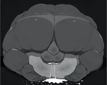 Bear and Junior +GIF Fhentai - Page 41