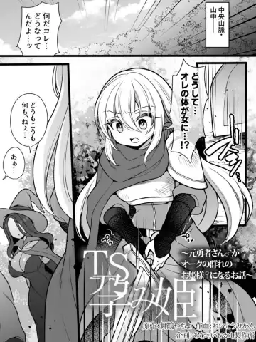 [Reitou Mikan] TS Impregnated Princess ~A story about a former hero who becomes the princess of a group of orcs~ Fhentai - Page 2