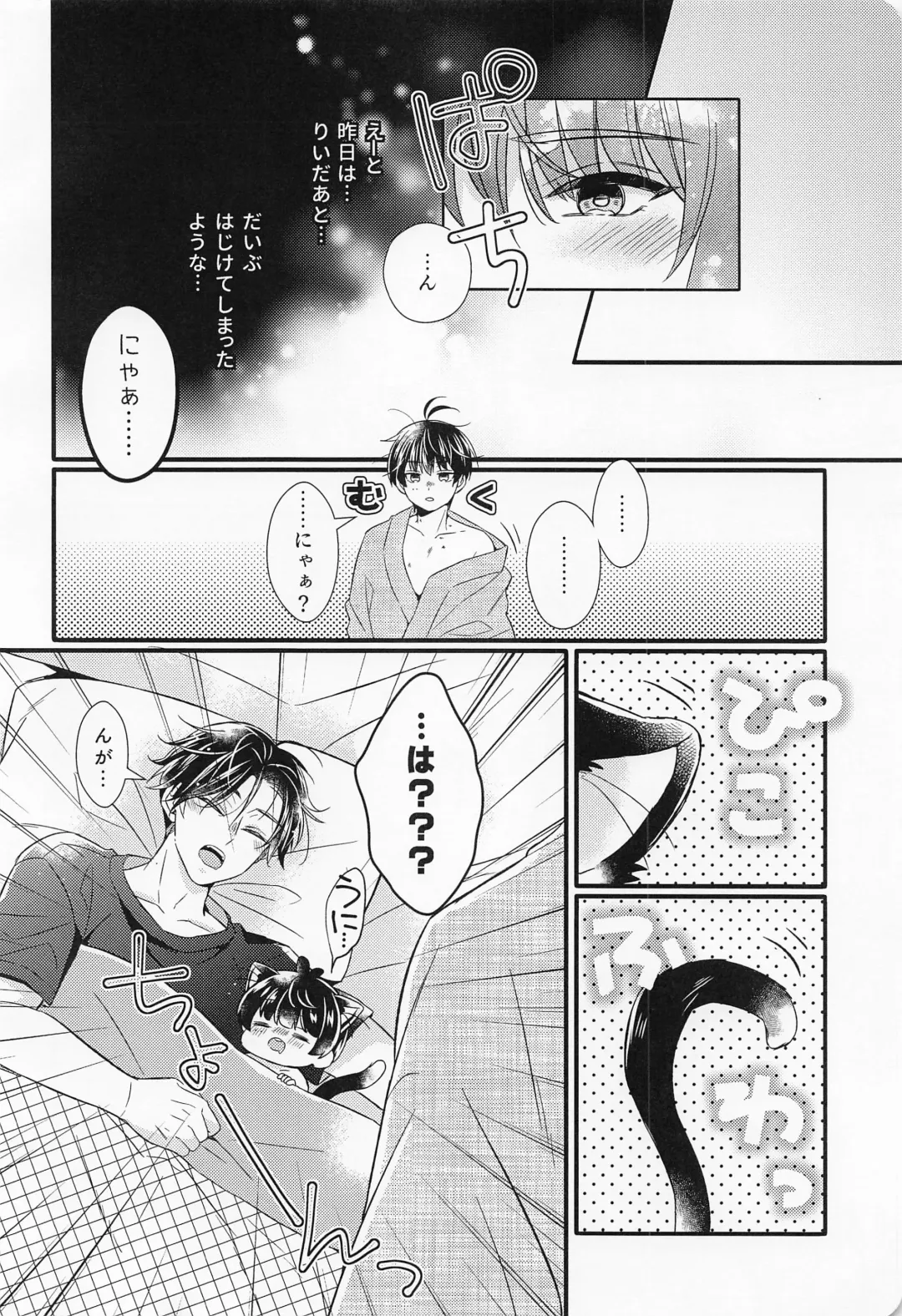 [Mego] Kote mo Nekote mo Kote no Uchi Fhentai - Page 5