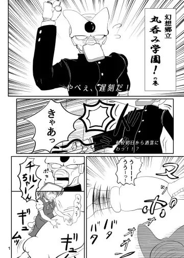 [Byoin] Touhou Yakekuso Fhentai - Page 2