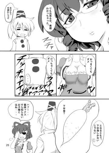 [Byoin] Touhou Yakekuso Fhentai - Page 26