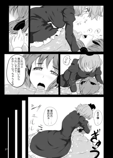 [Byoin] Touhou Yakekuso Fhentai - Page 28