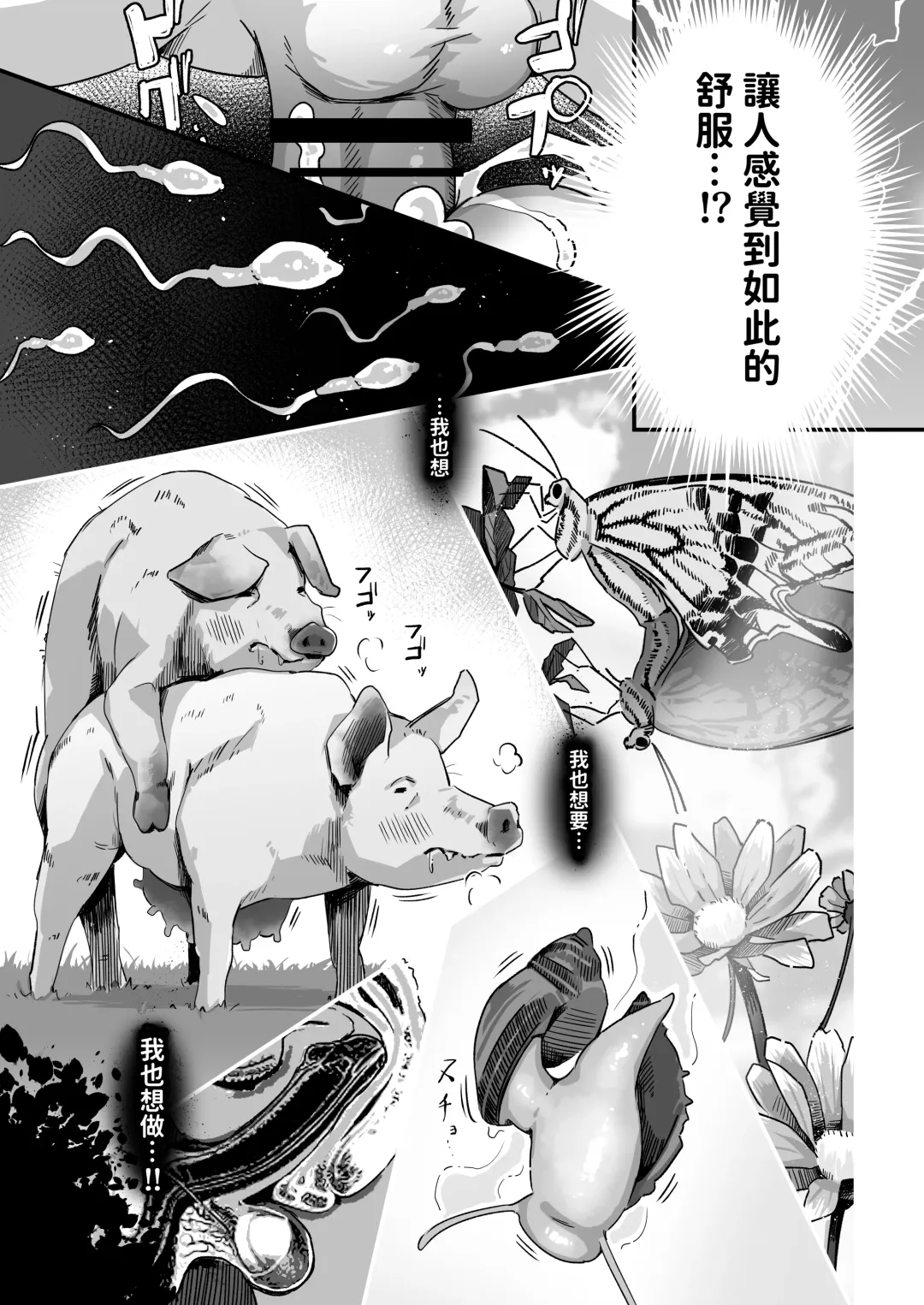 [Yosyo-] Kyou no Jugyou wa, Chikyuujin no Hanshoku Katsudou no Kansatsu desu. - Today's lesson is observation of the breeding activities of earthlings. Fhentai - Page 24