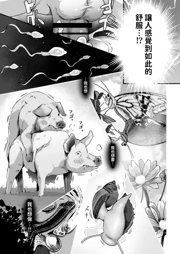 [Yosyo-] Kyou no Jugyou wa, Chikyuujin no Hanshoku Katsudou no Kansatsu desu. - Today's lesson is observation of the breeding activities of earthlings. Fhentai - Page 24