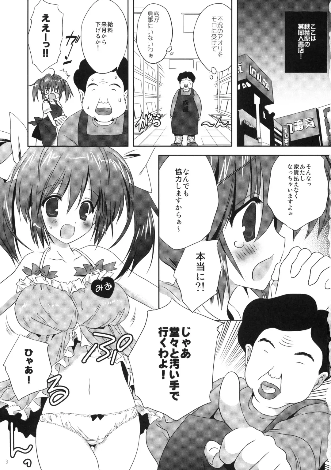 [Korisu] Akihabara Ryoujoku Doujin Shoten Fhentai - Page 2
