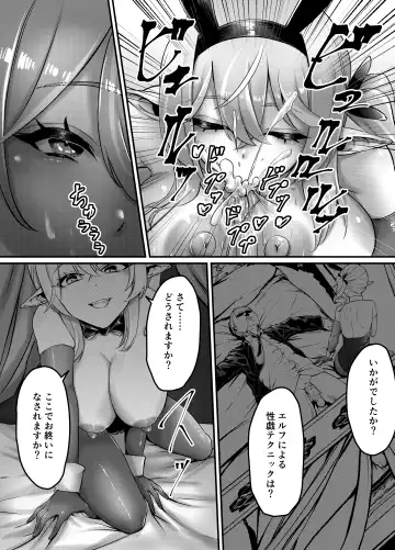 [Bs3] Kettou! Bunny Elf Fhentai - Page 14
