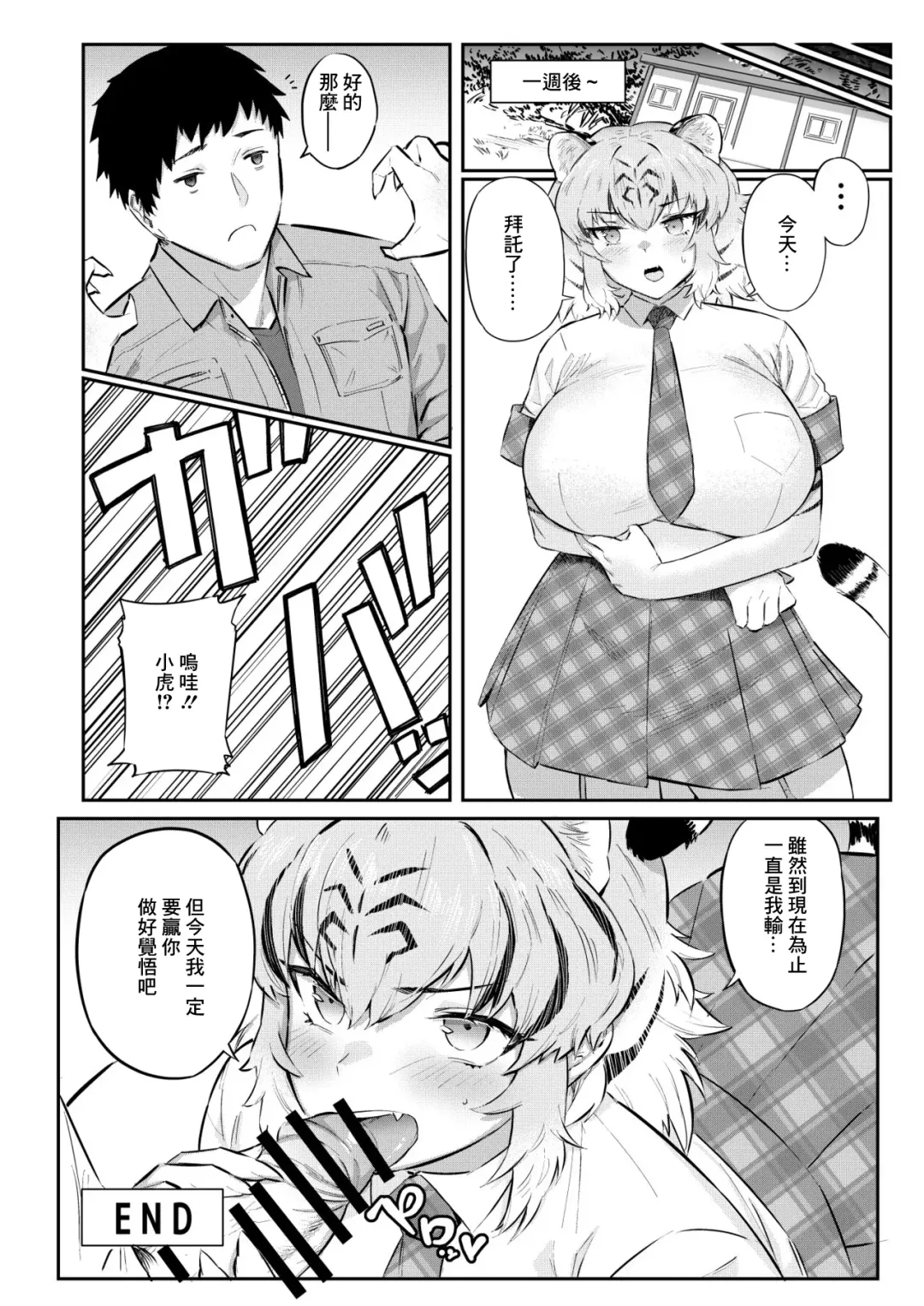 [Hihiyama Yokikana] Tora wa Fureai Shugyou-chuu Fhentai - Page 13