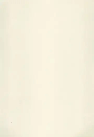 [Aoyagi Mitsuru - Kotoki Rin] Natsu no Ouji-sama Fhentai - Page 21