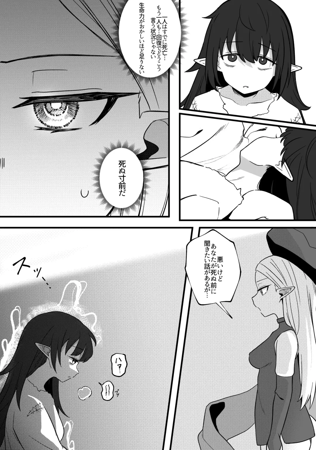 [Xion] Mirror Collection Fantasia Vol.1 Fhentai - Page 11