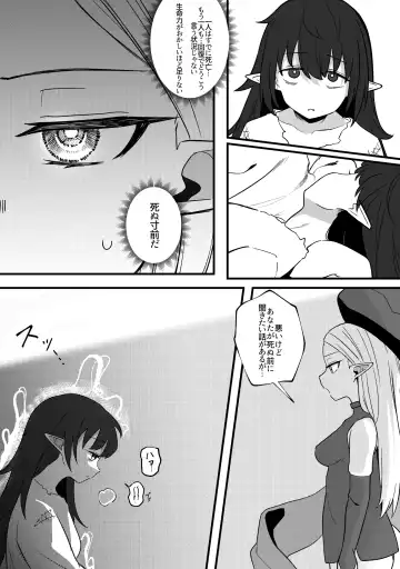 [Xion] Mirror Collection Fantasia Vol.1 Fhentai - Page 11