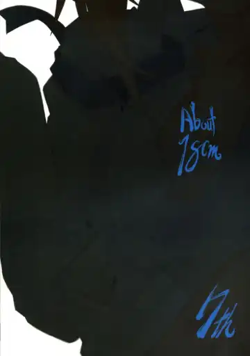 [Nilitsu] About 18cm 7th Fhentai - Page 18