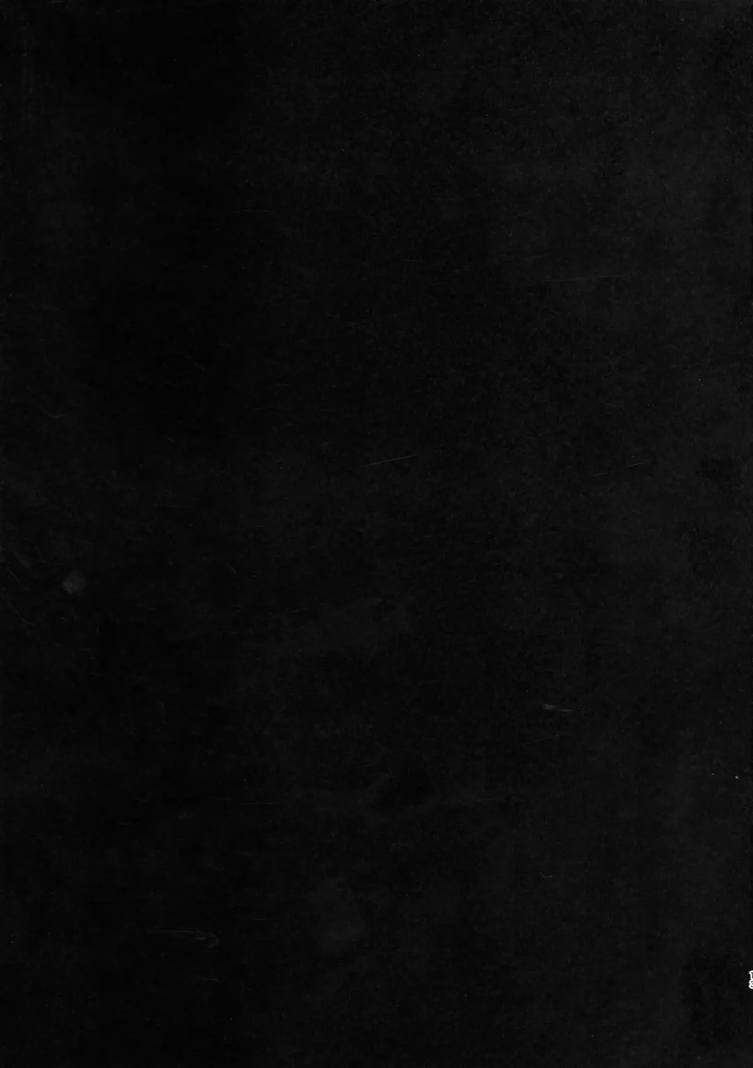 [Paya] RISK Gauge Max Fhentai - Page 12