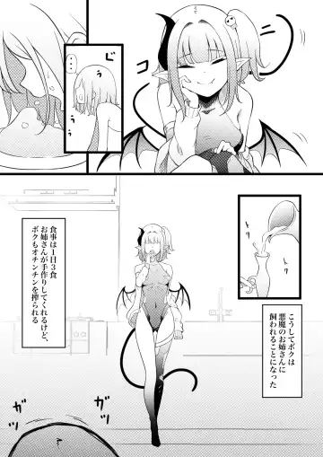 [Zandoro] Succubus Breeder ~ Kotoba no Tsuujinai Tensei Sekai de Succubus ni Kawareru Boku no Ohanashi Fhentai - Page 12