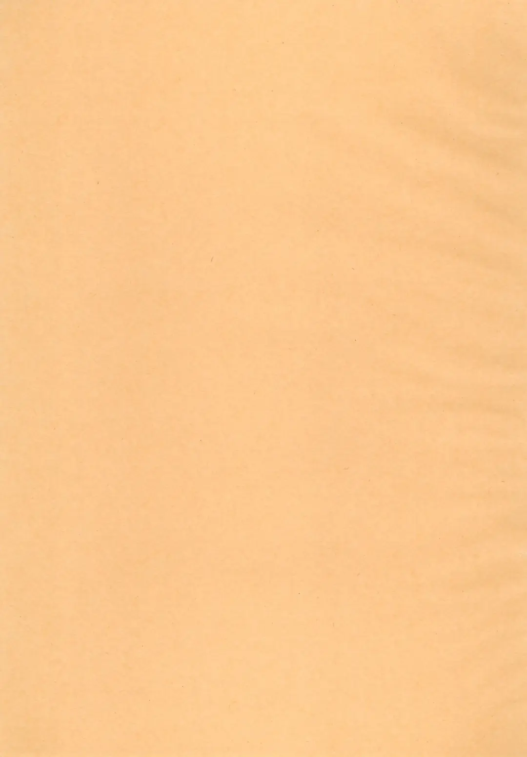 [Koike Amuko] Neco Days Fhentai - Page 3