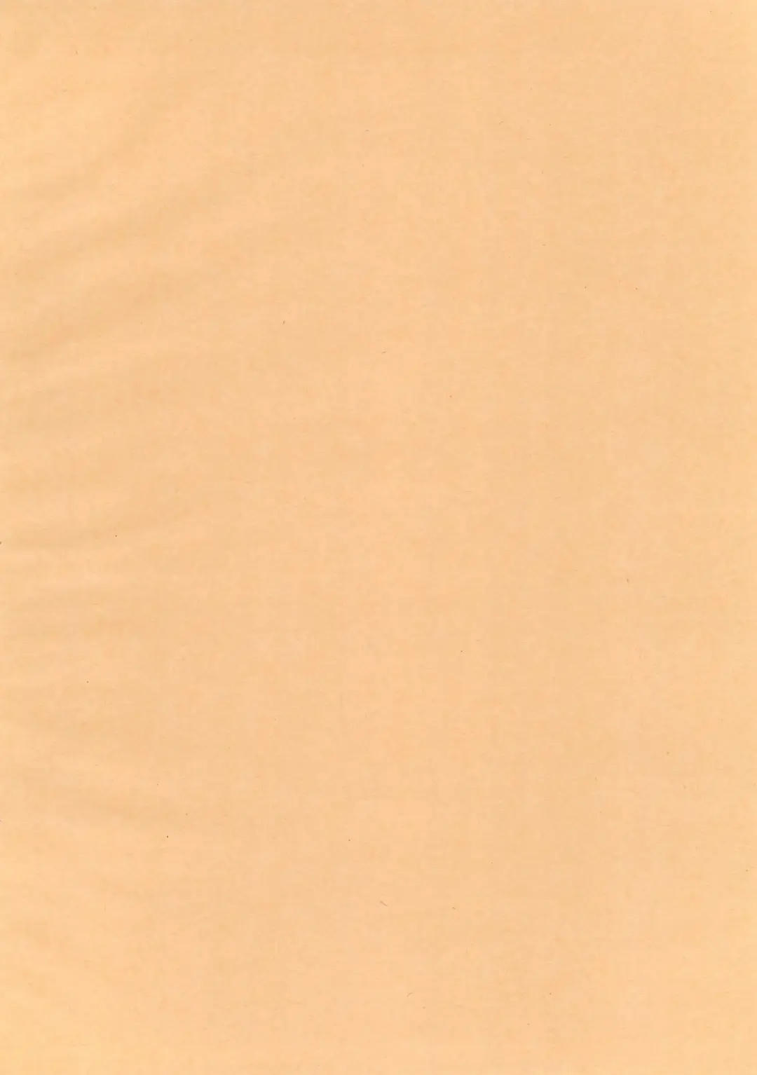 [Koike Amuko] Neco Days Fhentai - Page 4