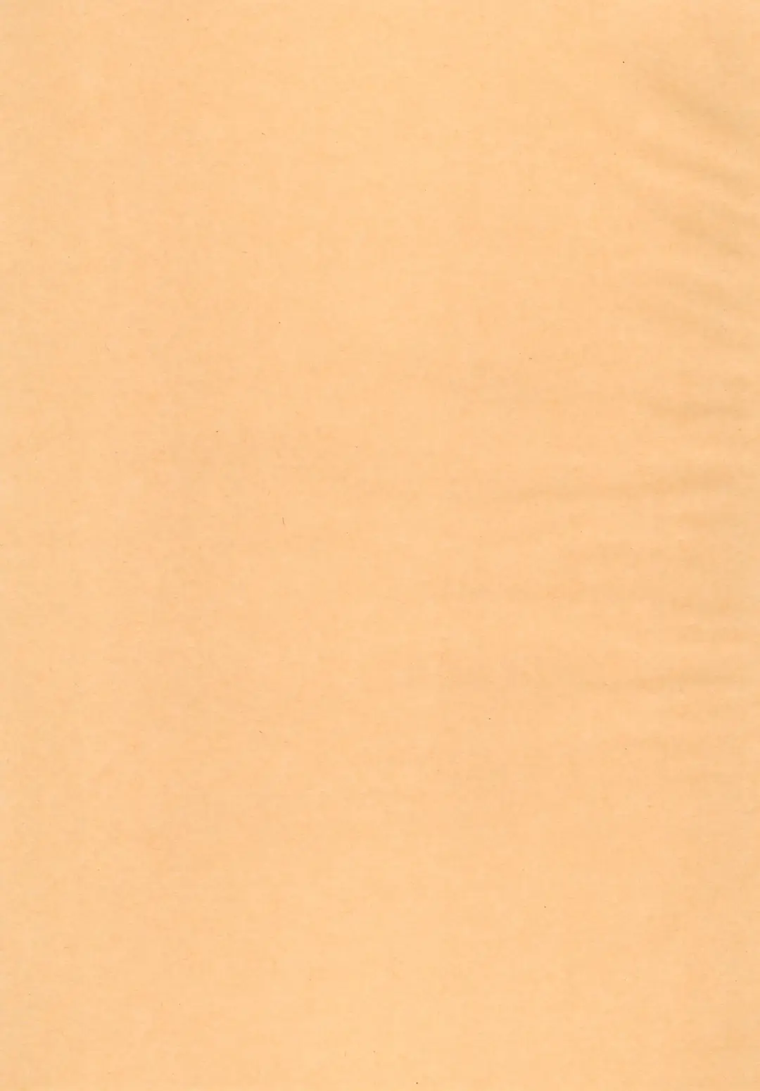 [Koike Amuko] Neco Days Fhentai - Page 25