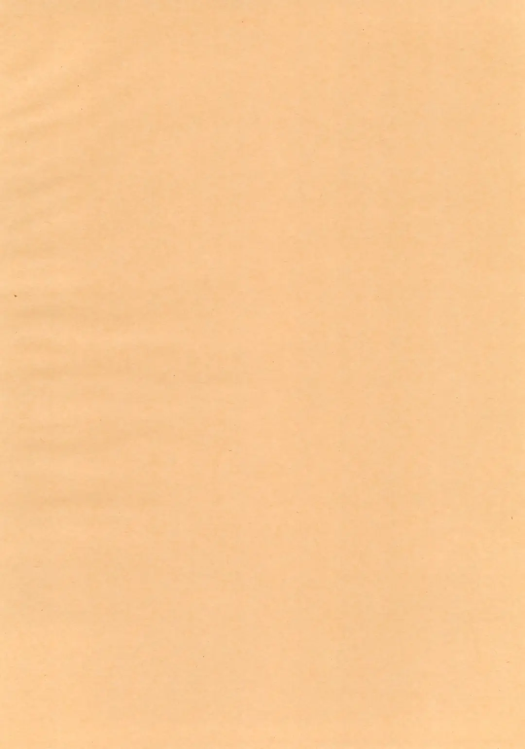 [Koike Amuko] Neco Days Fhentai - Page 26