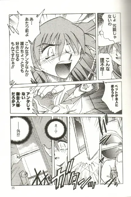 [Shizuka] Kinbaku Choukyou ~Aido Shigan~ Fhentai - Page 27