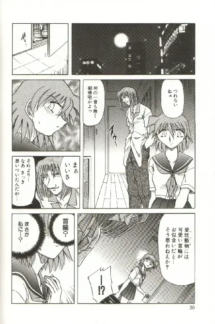 [Shizuka] Kinbaku Choukyou ~Aido Shigan~ Fhentai - Page 32